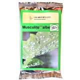 Insecticid, Musculita alba, Bio, natural, repelent, organic 100%, 51g