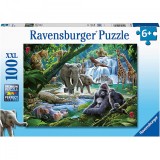 Cumpara ieftin PUZZLE ANIMALE DIN JUNGLA, 100 PIESE, Ravensburger