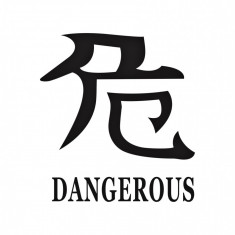 Abtibild "DANGEROUS" diverse culori Cod: DZ-22 - Negru DZ-22