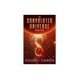 Convoluted Universe Book V