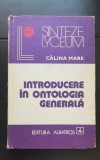 Introducere &icirc;n ontologia generală - Călina Mare