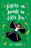 Secretele unei milionare din curtea scolii - Nat Amoore - Didactica Publishing House