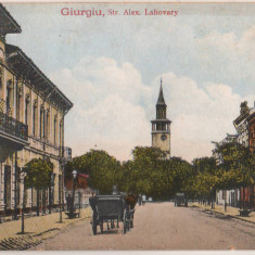 SV * Giurgiu * STRADA ALEXANDRU LAHOVARI / Lahovary * 1925