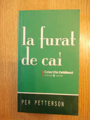 LA FURAT DE CAI-PER PETTERSON, r1b foto