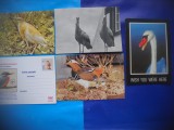 HOPCT LOT NR 1014 PASARI DIN DELTA -FAUNA -5 CARTI POSTALE-NECIRCULATE, Circulata, Printata