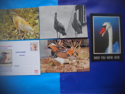 HOPCT LOT NR 1014 PASARI DIN DELTA -FAUNA -5 CARTI POSTALE-NECIRCULATE foto
