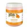 Balsam Iv San Bernard Orange PEK Sublime, pentru caini si pisici, 1l