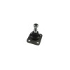 Pivot Renault 25 B29 FORTUNE LINE FZ3035