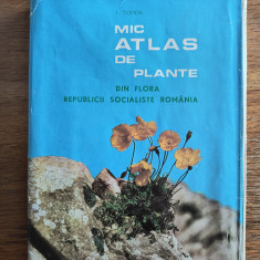 Mic atlas de plante din flora RSR - I. Todor / R2P1F