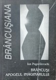 Ion Pogorilovschi, Br&acirc;ncuși apogeul imaginarului, 2000