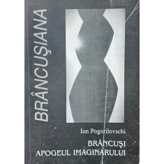 Ion Pogorilovschi, Br&acirc;ncuși apogeul imaginarului, 2000