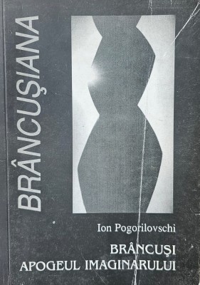Ion Pogorilovschi, Br&amp;acirc;ncuși apogeul imaginarului, 2000 foto