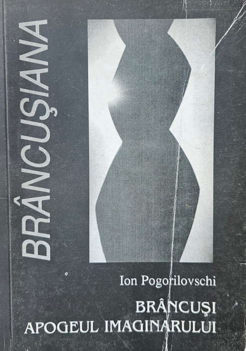 Ion Pogorilovschi, Br&acirc;ncuși apogeul imaginarului, 2000