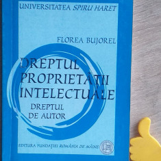 Dreptul proprietatii intelectuale Dreptul de autor Florea Bujorel