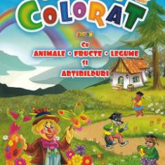 Carte de colorat jumbo 5 cu animale, fructe, legume si abtibilduri
