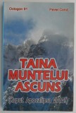 Taina muntelui ascuns - Pavel Corut - Carte Beletristica
