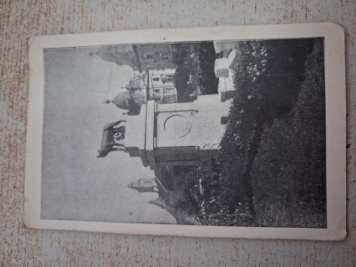 Cluj - Lupoaica. foto