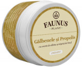 UNGUENT GALBENELE&amp;PROPOLIS 50ML, Faunus Plant