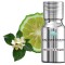 Bergamot Tangelo 10 gr