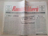 Romania libera 17 ianuarie 1990-interviu doina cornea