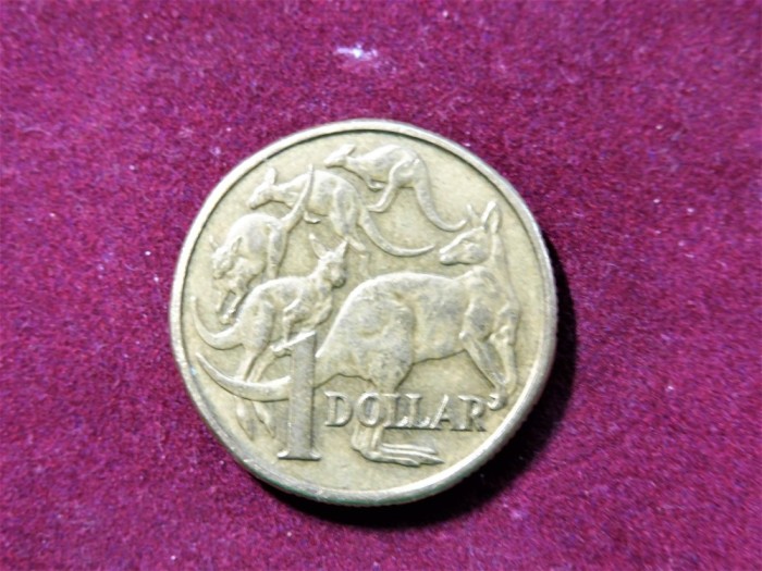 AUSTRALIA 1984 1 dollar - Elizabeth II (292)