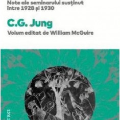 Analiza viselor | C.G. Jung