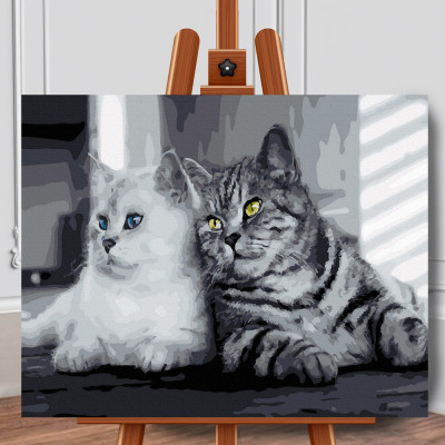 Set pictura pe numere (panza) Pisici alb negru 40x50 cm foto