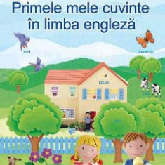 Primele mele cuvinte in limba engleza