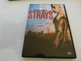 Strays - Vin Diesel