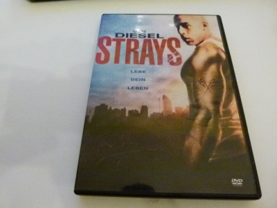 Strays - Vin Diesel foto