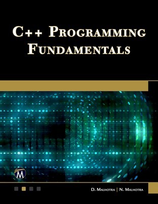 C++ Programming Fundamentals foto