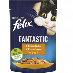 FELIX Fantastic pliculeț cu pui în gelatină 85 g