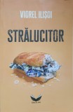 STRALUCITOR-VIOREL ILISOI-166028