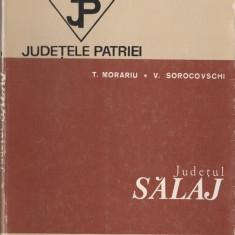 Judetele Patriei - Judetul Salaj