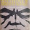 Beethoven. Marile epoci creatoare. Ultimele cvartete &ndash; Romain Rolland