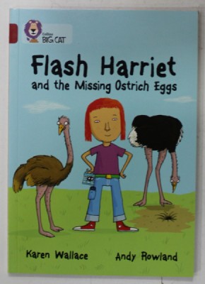 FLASH HARRIET AND THE MISSING OSTRICH EGGS by KAREN WALLACE , illustrated by ANDY ROWLAND , 2013 foto