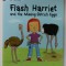 FLASH HARRIET AND THE MISSING OSTRICH EGGS by KAREN WALLACE , illustrated by ANDY ROWLAND , 2013