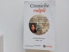 Cronicile vulpii Paul Slaver