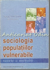 Sociologia Populatiilor Vulnerabile - Vasile Miftode foto