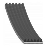 Febi Bilstein Curea transmisie cu caneluri