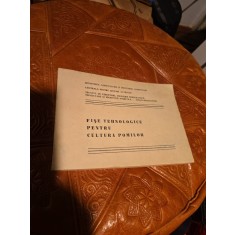 Fişe tehnologice pentru cultura pomilor - Ministerul Agriculturii și Industriei Alimentare