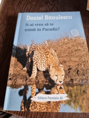 Danil Banulescu - N-ai vrea sa te trimit in Paradis? foto