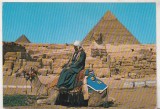 Bnk cp Egipt - Beduin cu camila la piramide - uzata, Necirculata, Printata