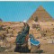 bnk cp Egipt - Beduin cu camila la piramide - uzata