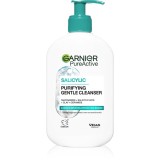 Garnier Pure Active gel hidratant de curatare impotriva imperfectiunilor pielii 250 ml