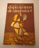 DUPĂ-AMIAZA DE S&Acirc;MBĂTĂ - VALERIU CRISTEA