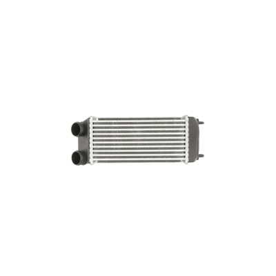 Intercooler PEUGEOT 206 hatchback 2A C AVA Quality Cooling PE4294 foto