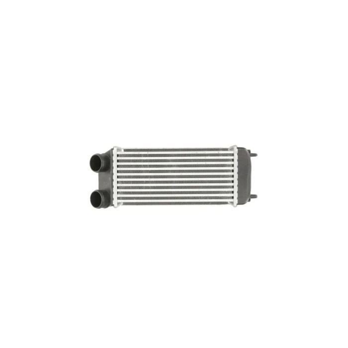 Intercooler PEUGEOT 206 hatchback 2A C AVA Quality Cooling PE4294