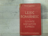 Lexic romanesc.Cuvinte,metafore,expresii de Stelian Dumistracel
