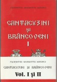 FLORENTZA GEORGETTA MARINCU - CANTACUZINI SI BRANCOVENI ( 2 VOLUME ) ( 2014 )